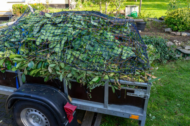 Best Yard Waste Removal  in Brown Deer, WI